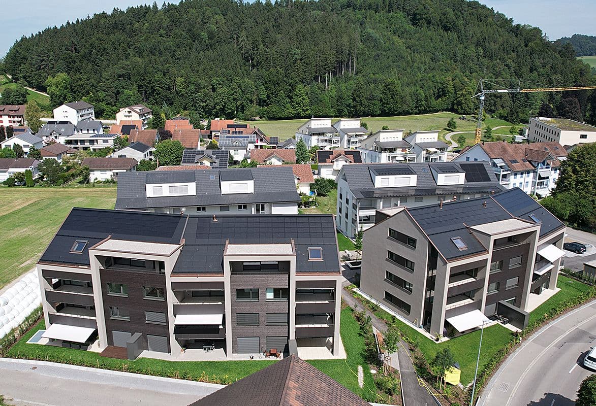 Aktuelles & Baustand