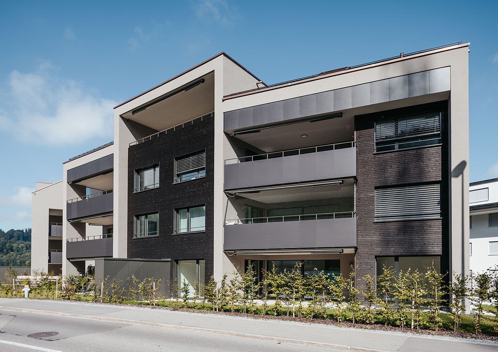 Aktuelles & Baustand